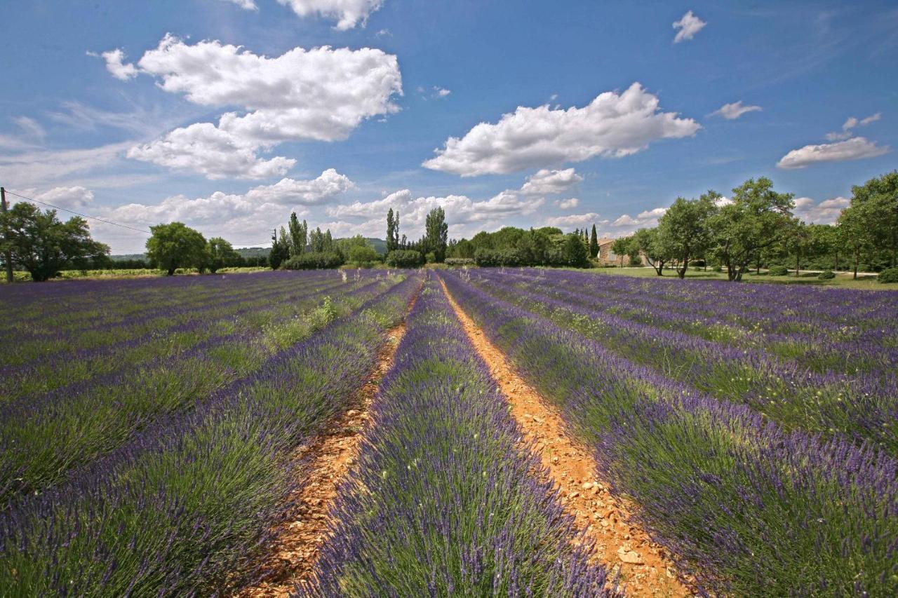 Gites Dans Mas En Pierres Robion en Luberon Eksteriør billede